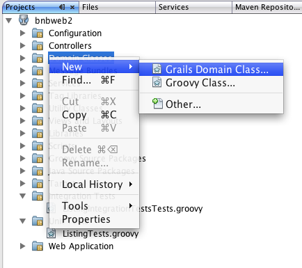 new-domain-class.png