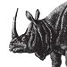 Rhino